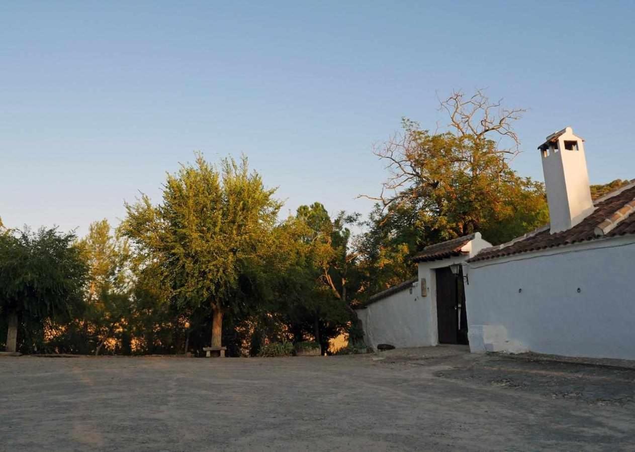 Cortijo La Gineta Pensionat Alcalá la Real Eksteriør billede